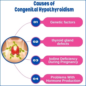 Causes of congenital hypothyroidism include genetic factors, defects in the thyroid gland, iodine deficiency during pregnancy, and issues with hormone production.
